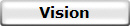Vision